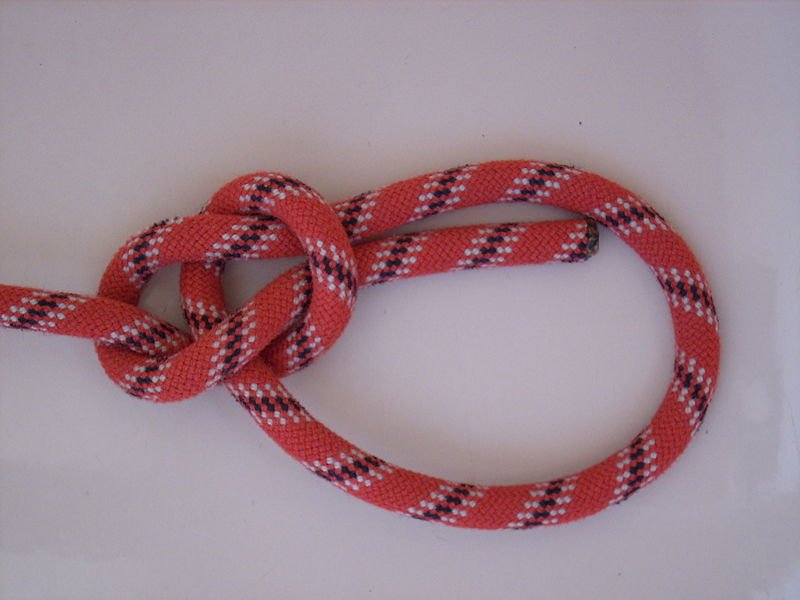 The bowline knot